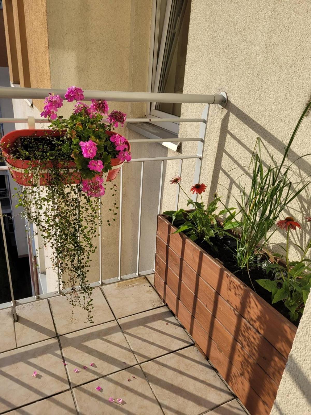 Apartament Podróże Małe I Duże Warszawa